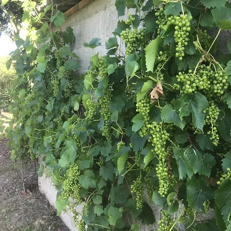 A 10 Minutes Du Mont Saint Michel *