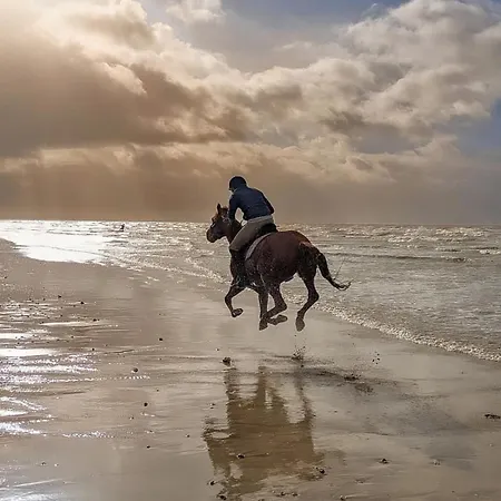 A 10 Minutes Du Mont Saint Michel