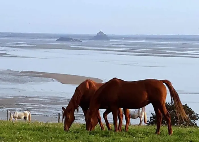 2 A 10 Mn Du Mont Saint Michel Daire