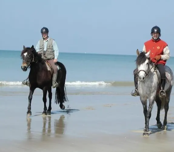 2 A 10 Mn Du Mont Saint Michel Daire *