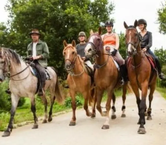 2 A 10 Mn Du Mont Saint Michel Daire Tanis