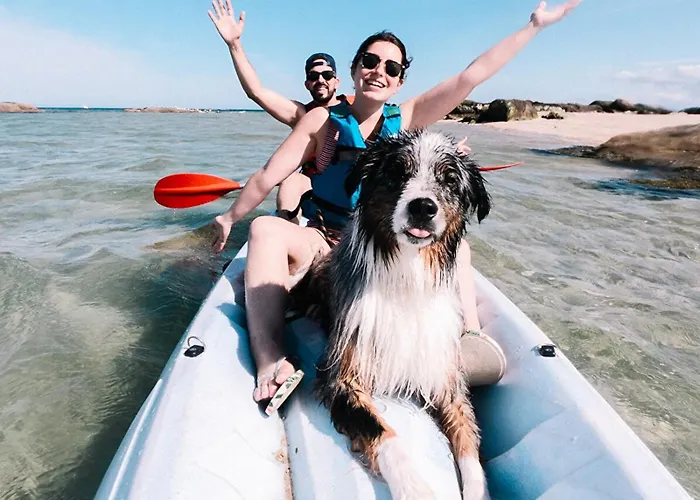 2 A 10 Mn Du Mont Saint Michel * Tanis